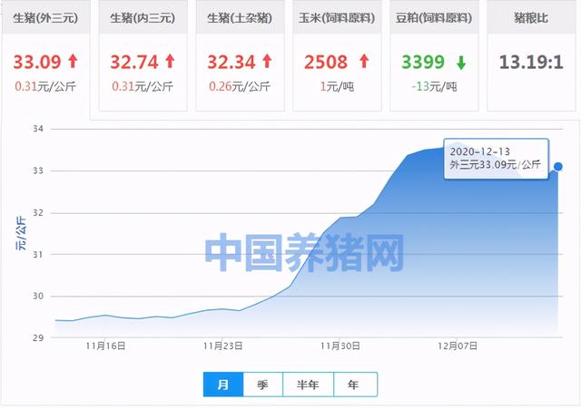 12月13日最新生猪报价——猪市行情走好，23涨、2平、6跌 