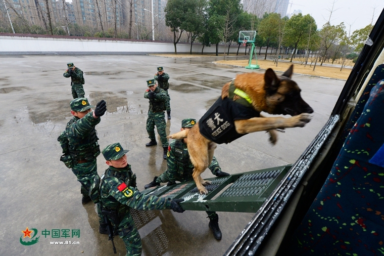 马斯克审美是真高，艾梅柏疯归疯，颜值上面没得说，怪不得拿捏他  